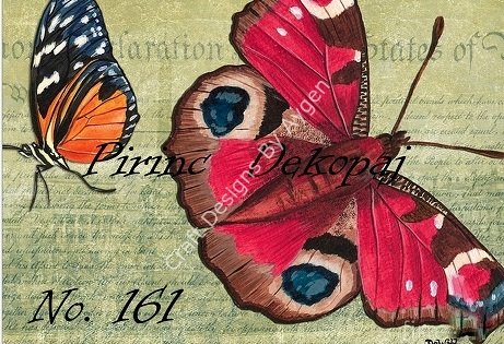 161