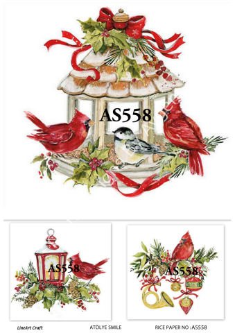 AS 558