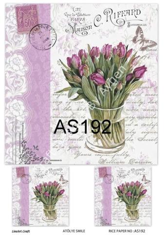 AS 192