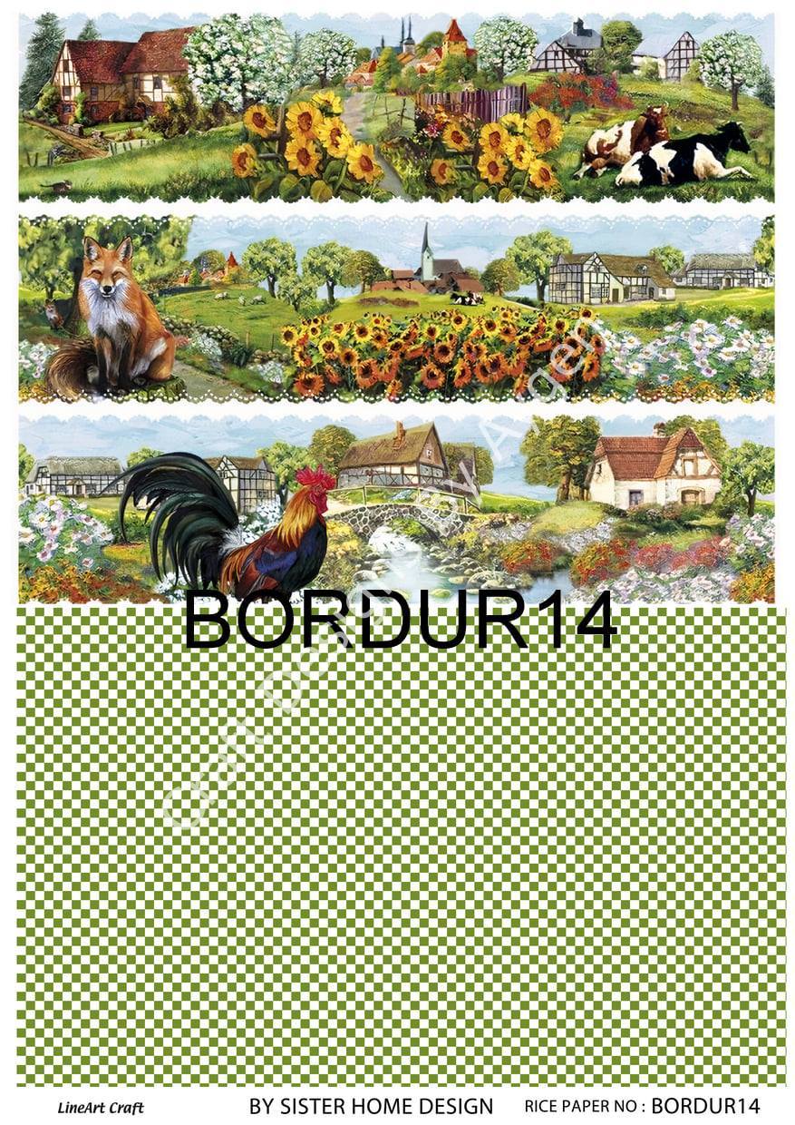 BORDUR 14