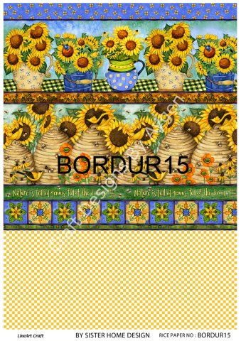 BORDUR 15