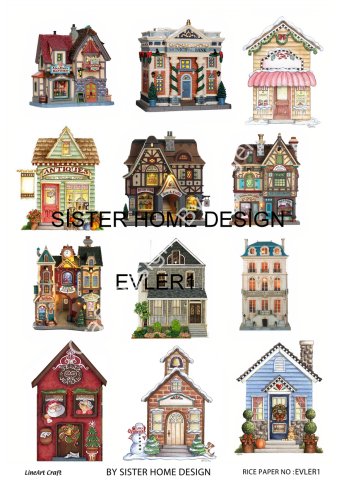 EVLER 1