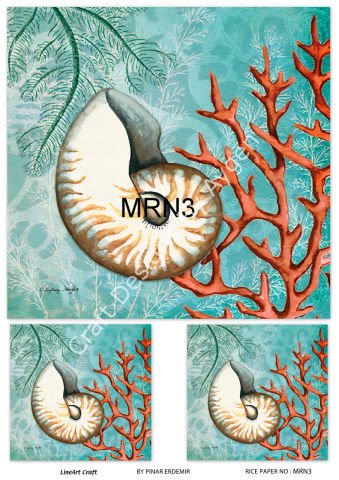 MRN 3