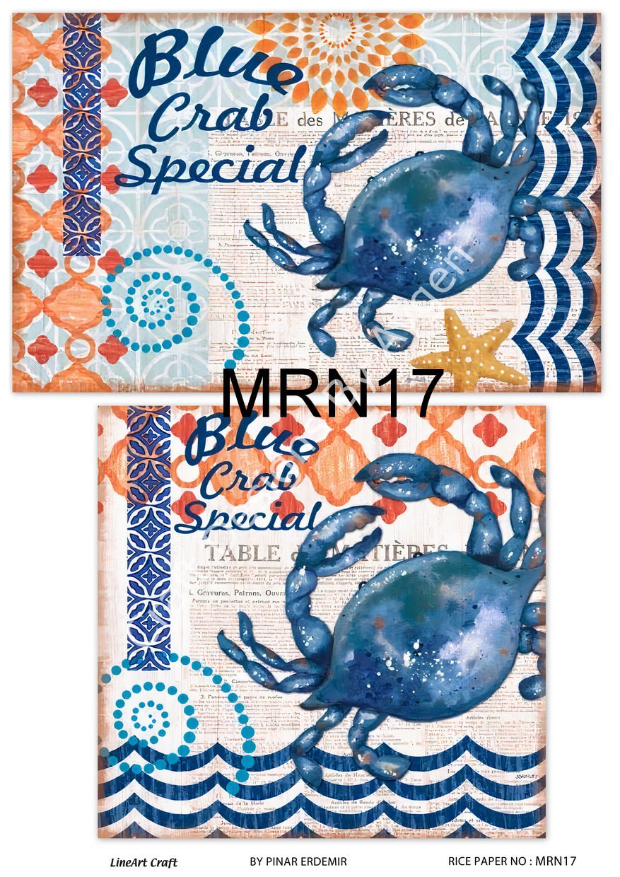 MRN 17