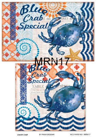 MRN 17