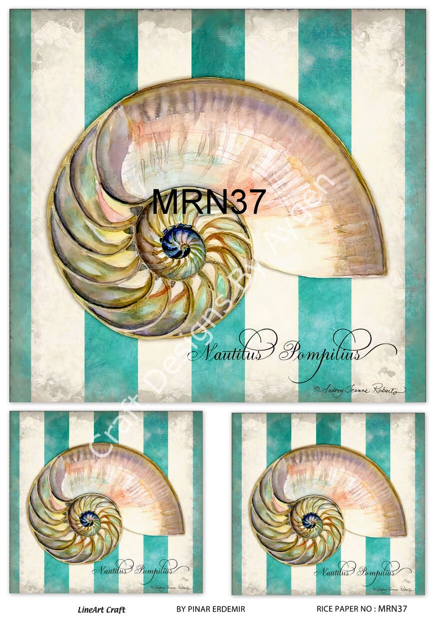 MRN 37