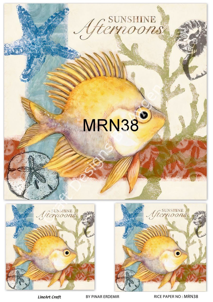 MRN 38