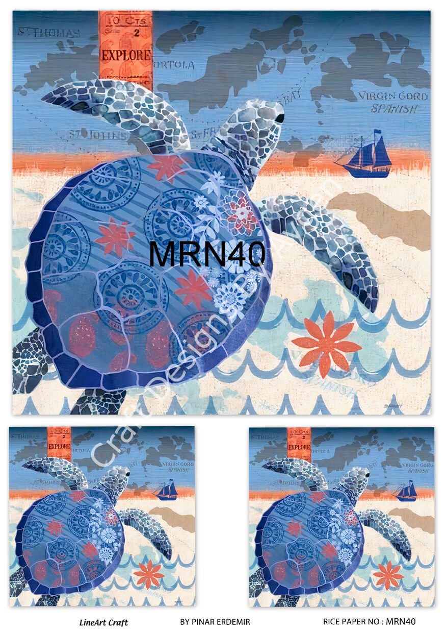 MRN 40