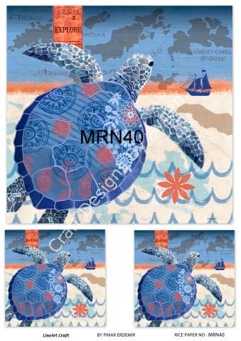 MRN 40