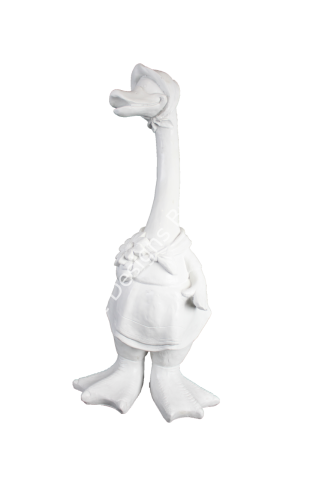 BAYAN ÖRDEK