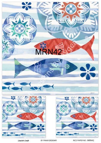 MRN 42