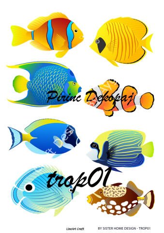 TROP 01