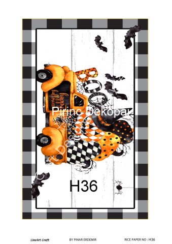 H 36