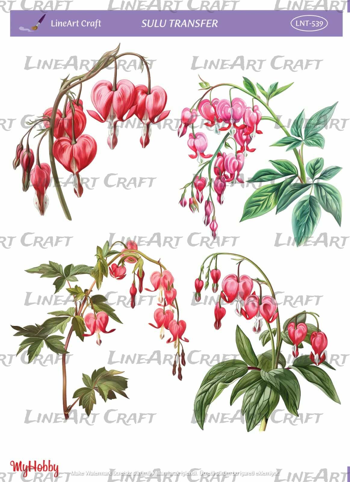 Lineart SULU TRANSFER LNT 539