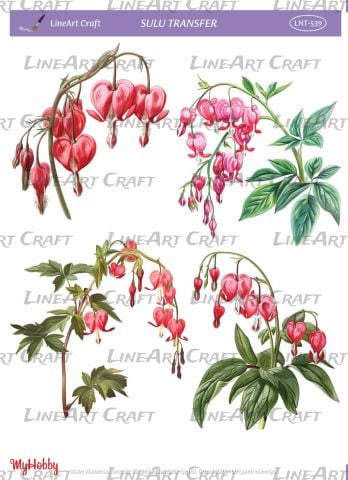 Lineart SULU TRANSFER LNT 539