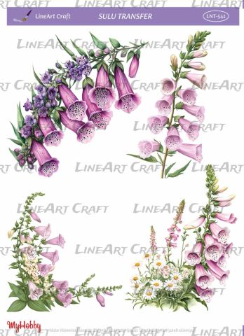 Lineart SULU TRANSFER LNT 541