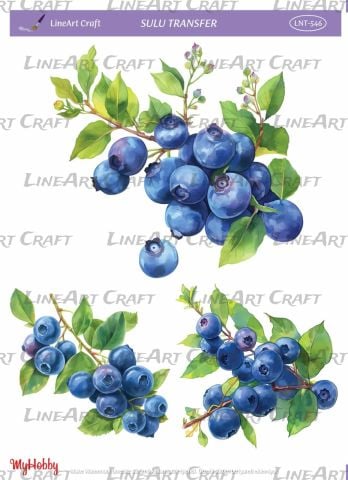 Lineart SULU TRANSFER LNT 546