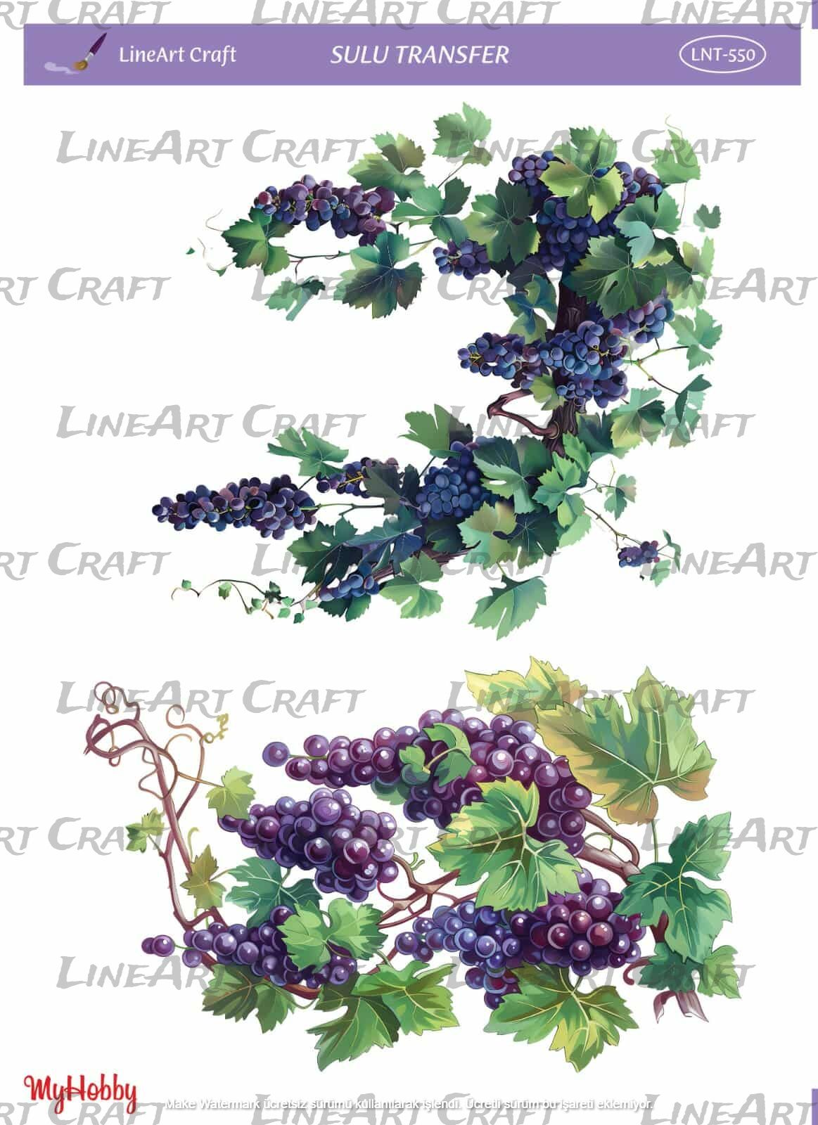 Lineart SULU TRANSFER LNT 550