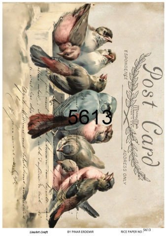 5613