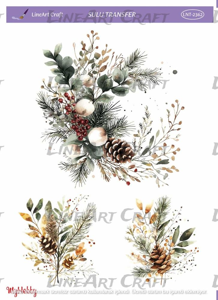 Lineart SULU TRANSFER LNT 2362