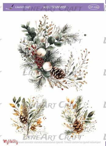 Lineart SULU TRANSFER LNT 2362