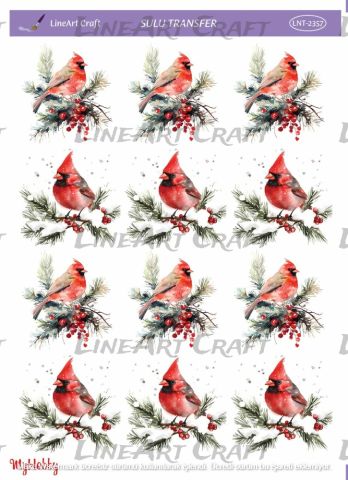 Lineart SULU TRANSFER LNT 2357