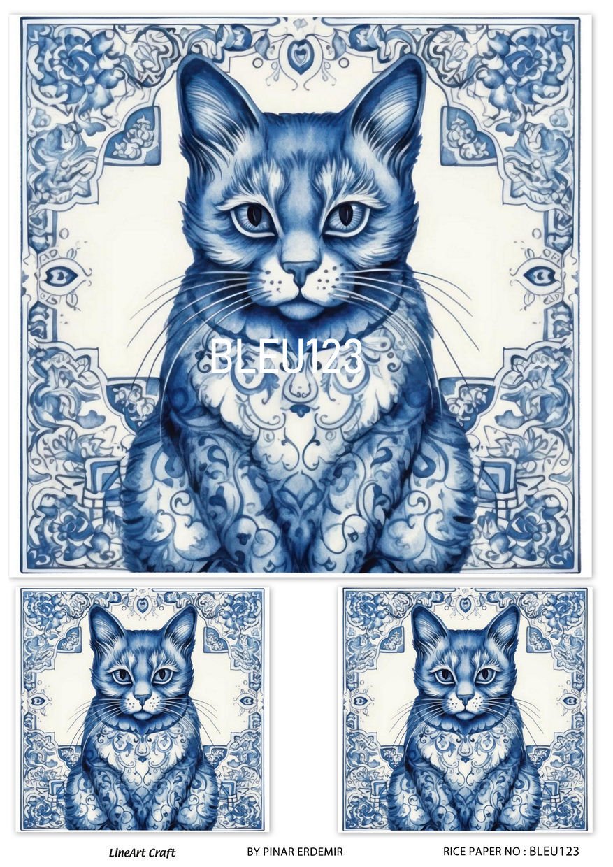 BLEU 123