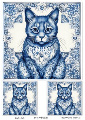 BLEU 123