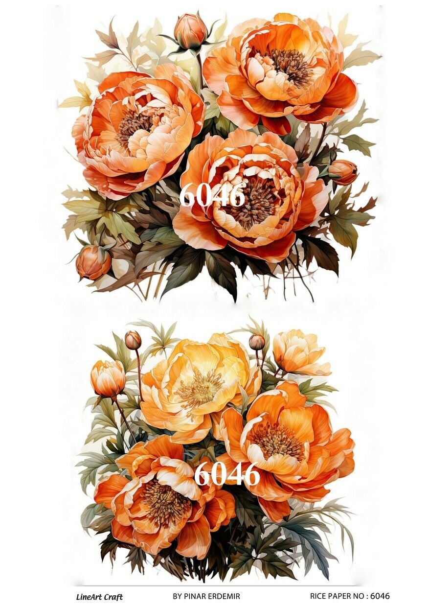 6046