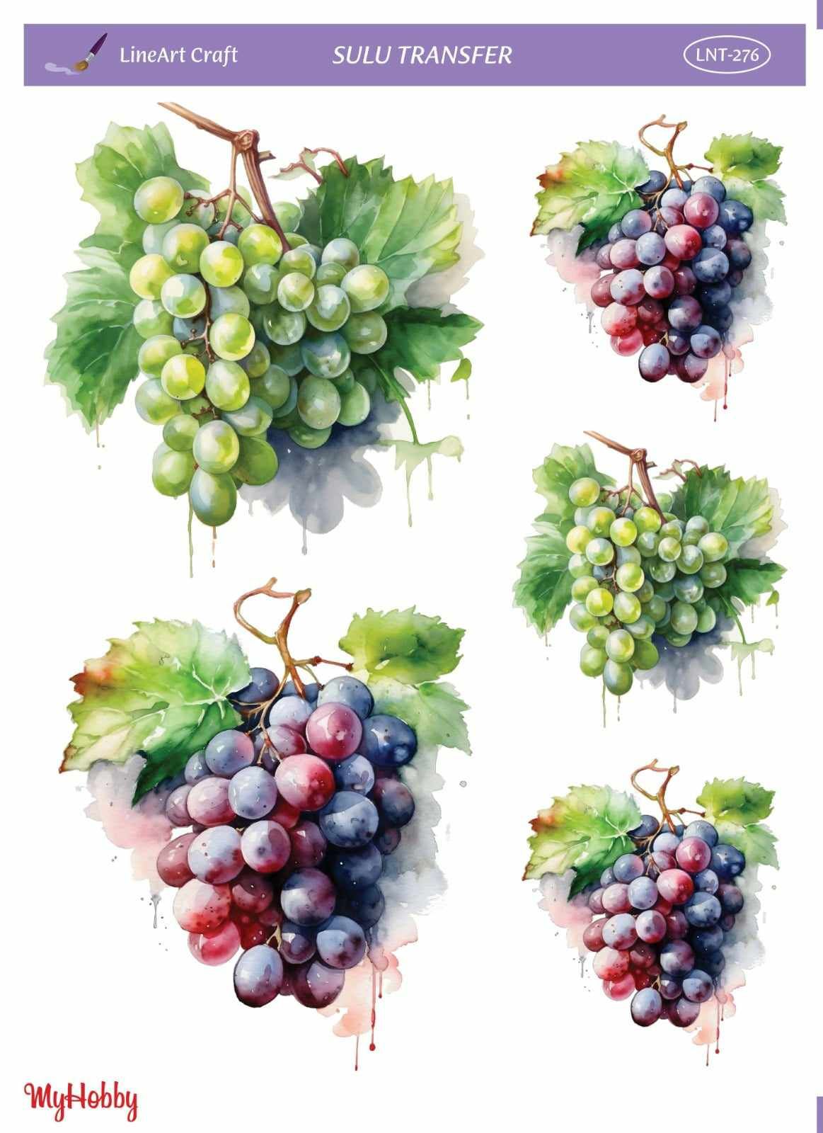 Lineart SULU TRANSFER LNT 276
