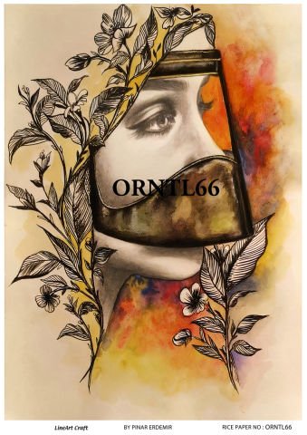 ORNTL 66