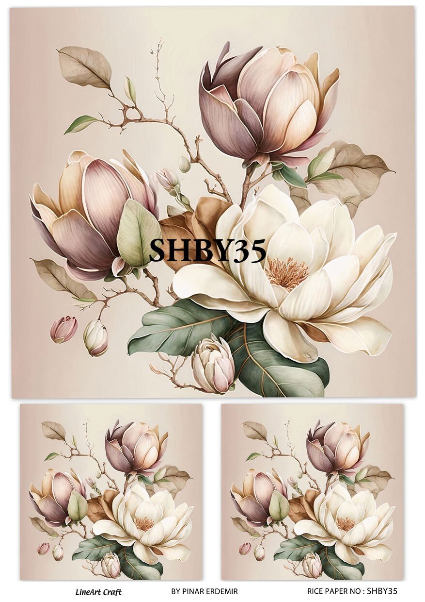 SHBY 35