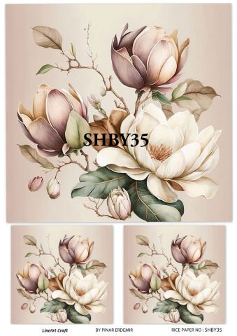 SHBY 35