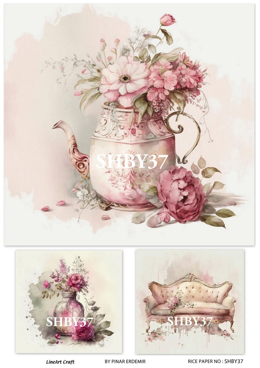 SHBY 37