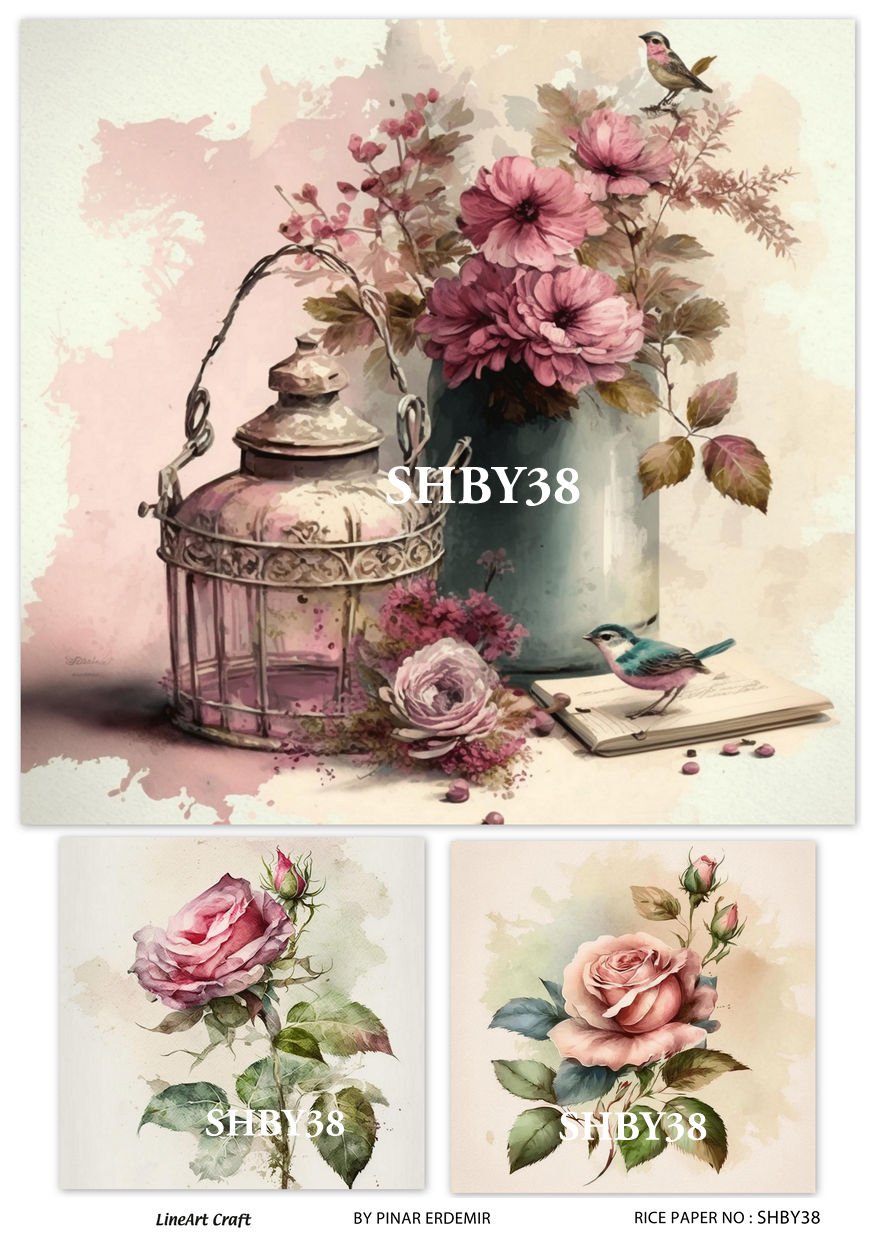 SHBY 38