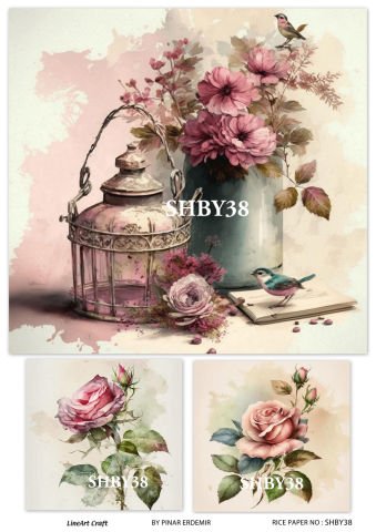 SHBY 38
