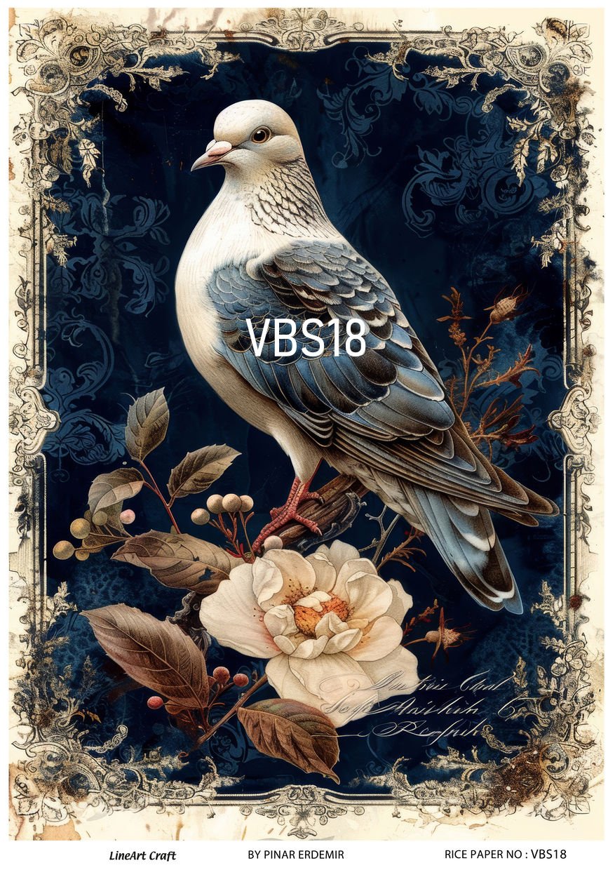 VBS 18