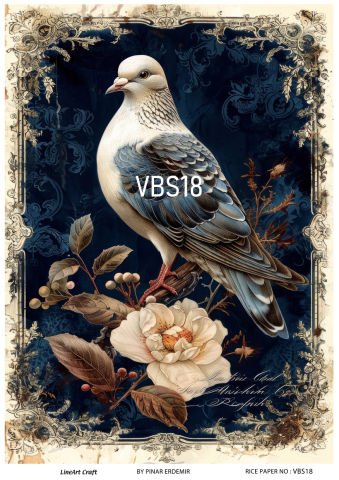 VBS 18