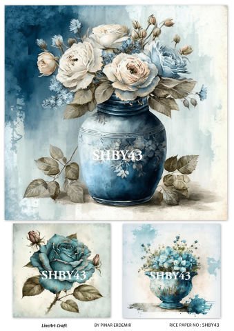 SHBY 43