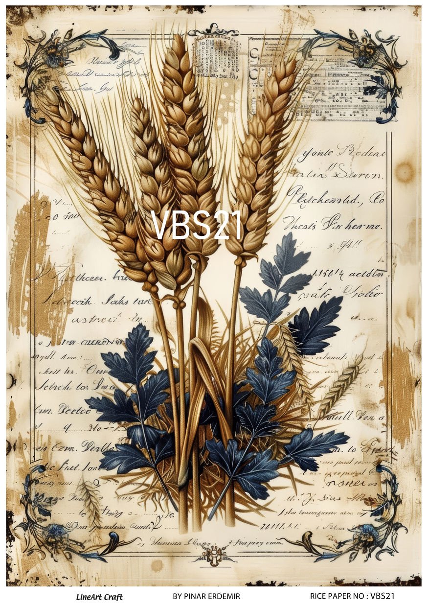 VBS 21