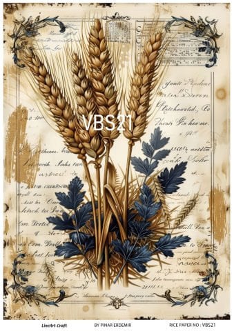VBS 21