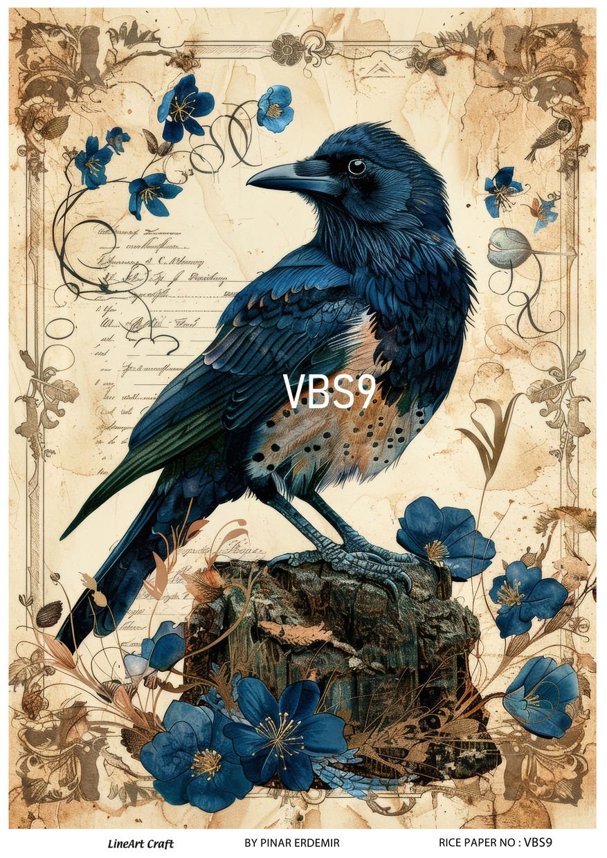 VBS 9
