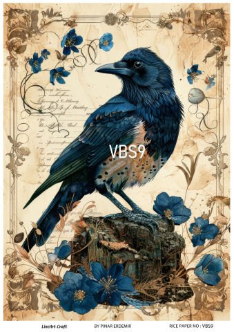 VBS 9