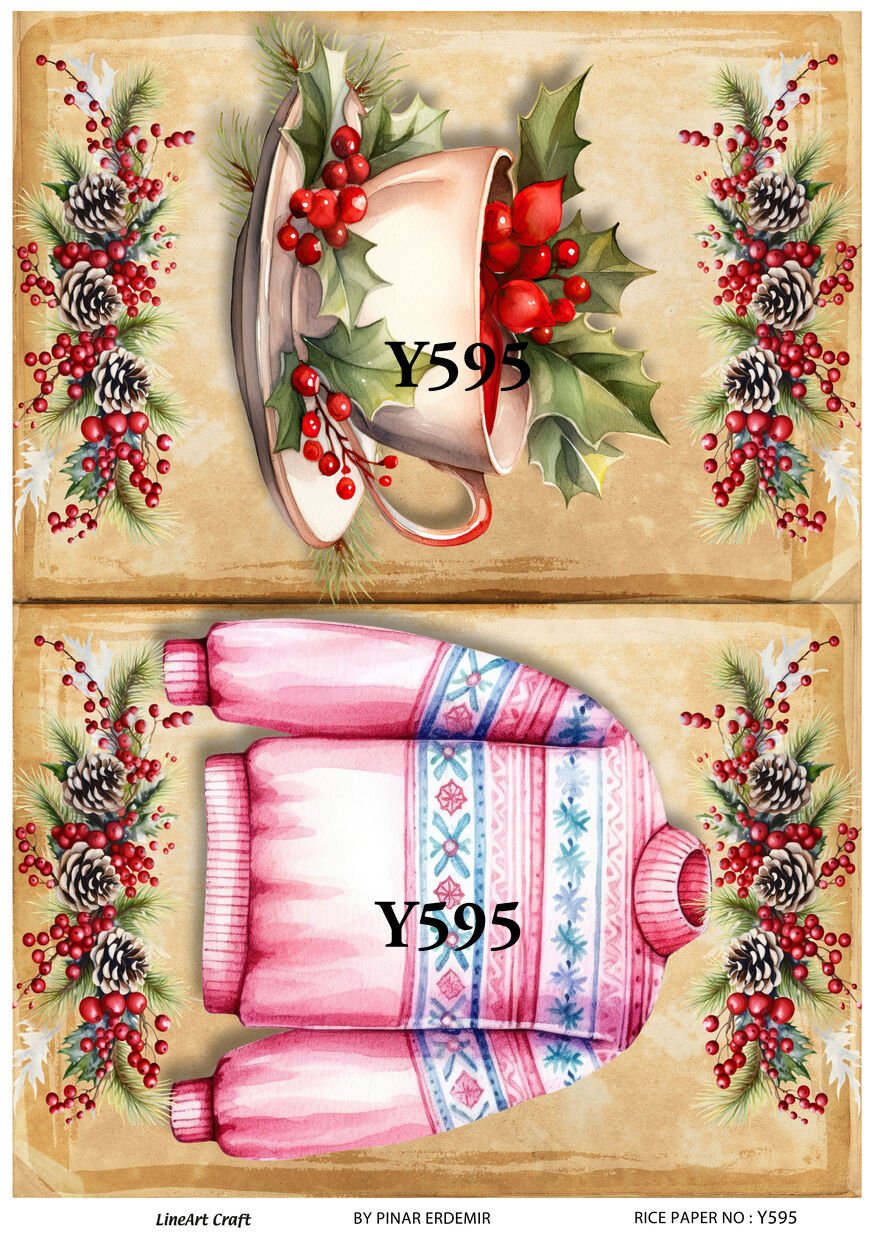 Y 595