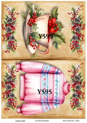 Y 595