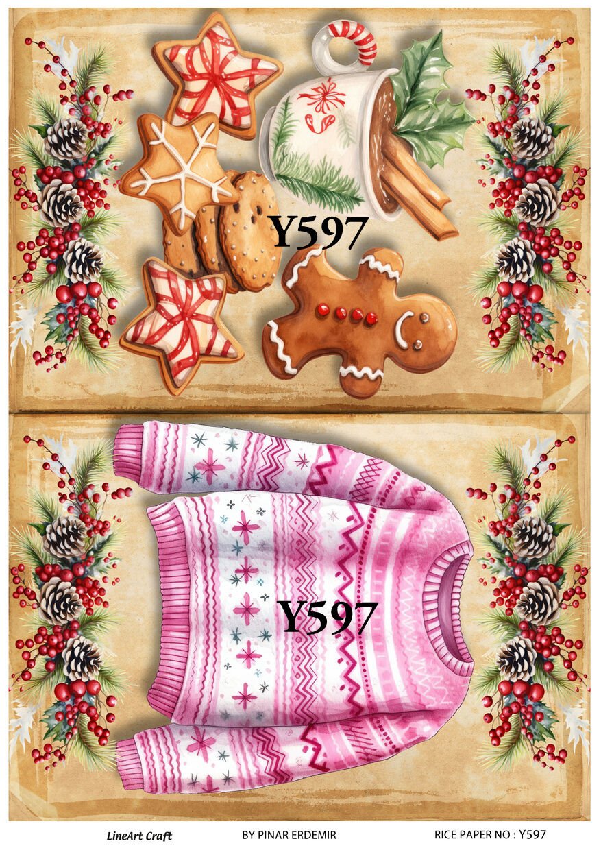 Y 597