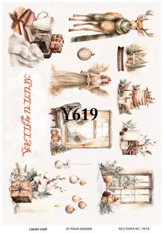 Y 619
