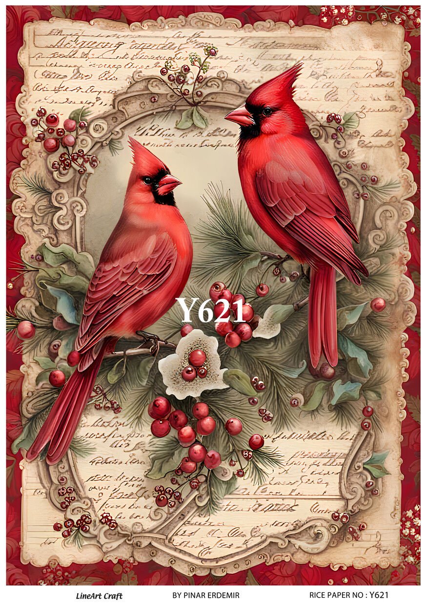 Y 621