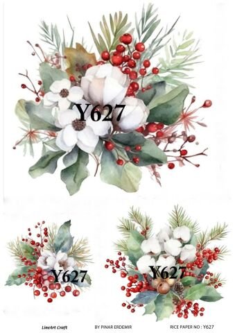 Y 627