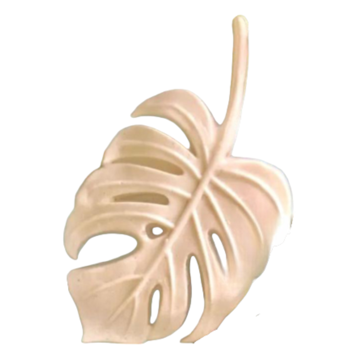 ESNEK APLİK DEVE TABANI YAPRAK 2